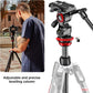 Befree Live 4-Section Carbon Fiber Video Tripod with Fluid Head, Black/Silver