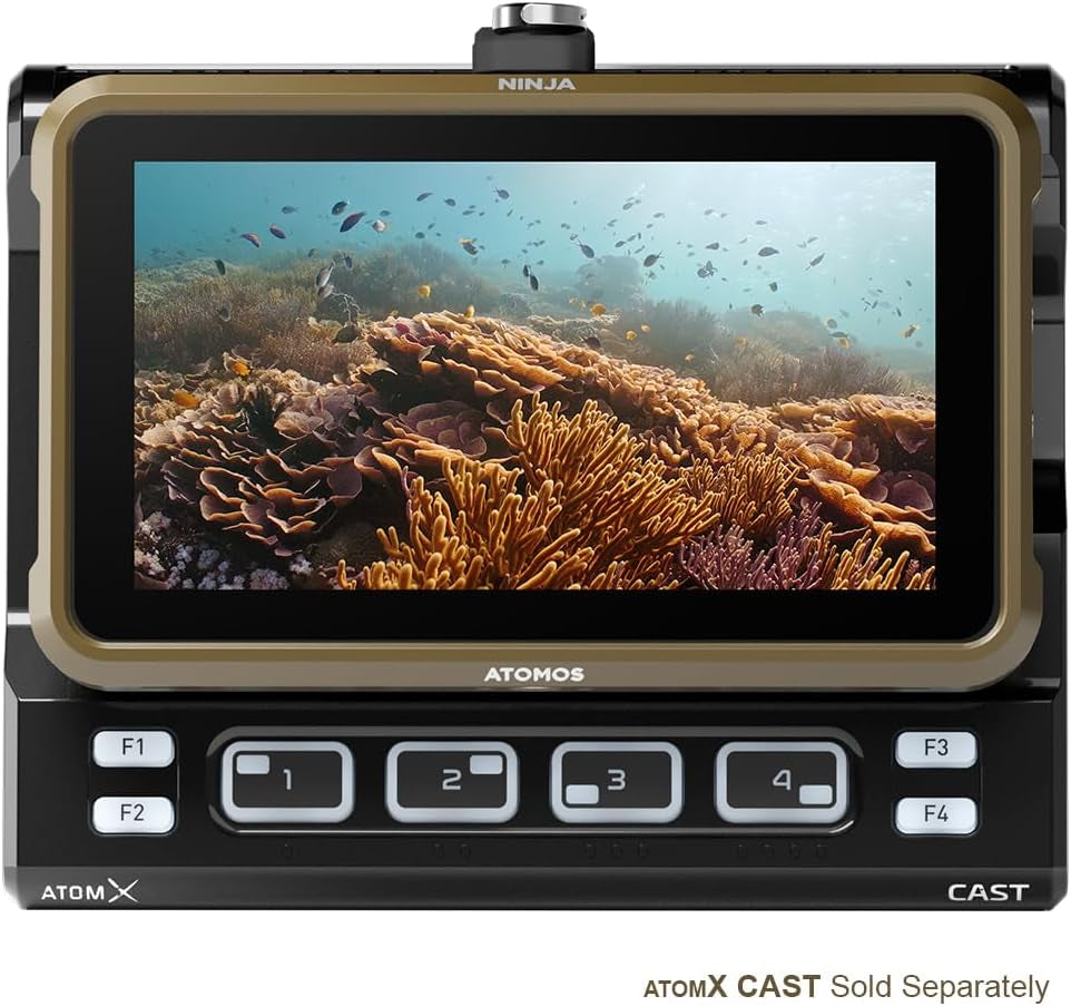 Ninja 5.2" 4K HDMI Recording Monitor