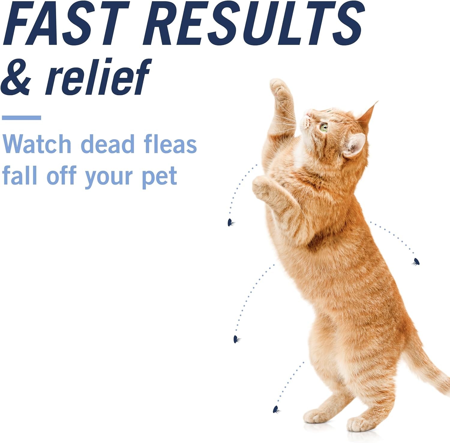 CAPACTION (Nitenpyram) Oral Flea Treatment for Cats, Fast Acting Tablets Start Killing Fleas in 30 Minutes, Cats 2-25 Lbs, 6 Doses