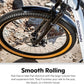 Vega CE Hybrid Bike