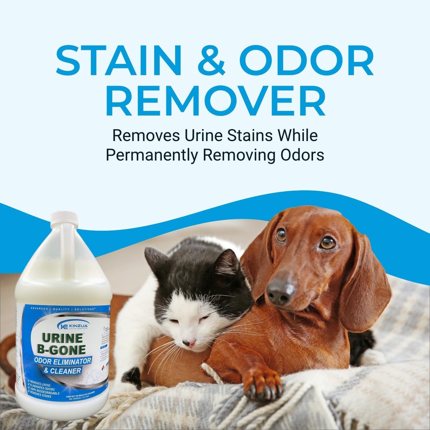 Urine B-Gone, Professional Enzyme Odor Eliminator & Pet Stain Remover, Human, Cat & Dog Urine Cleaner, Effective on Laundry, Carpets & More, Original Scent, 1 Gallon