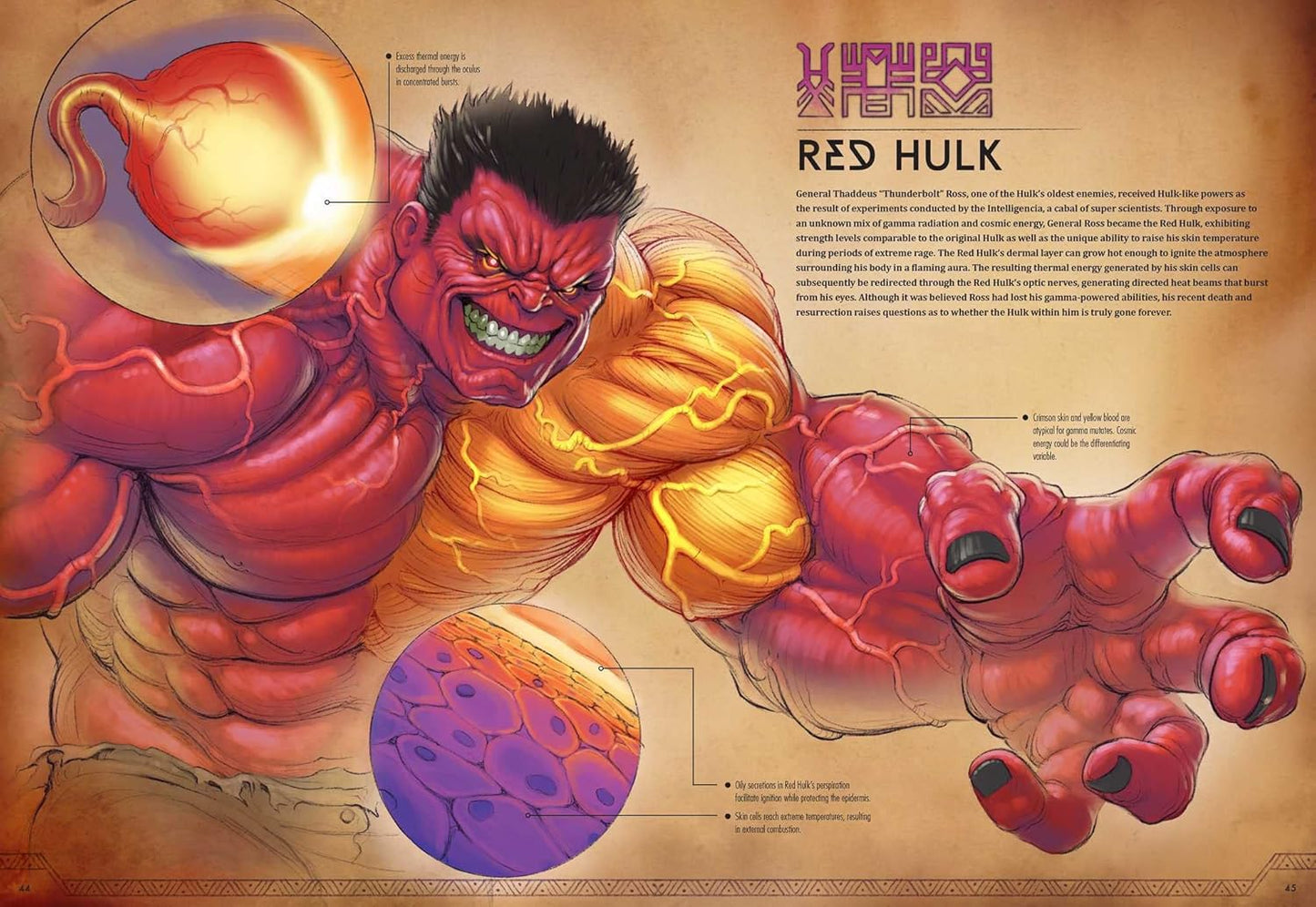 Marvel Anatomy: a Scientific Study of the Superhuman