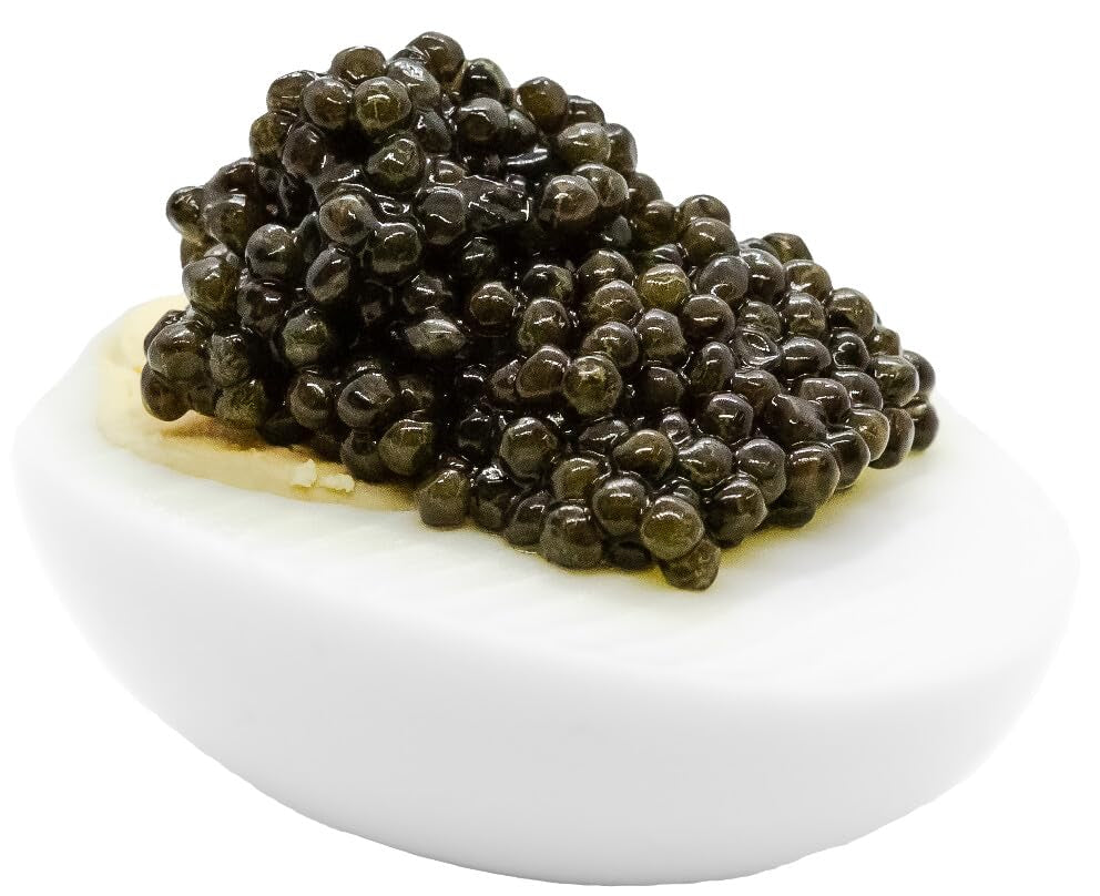 OSCIETRA Collection - Premium Osetra Black  - 3.5 Oz / 100 G in Metal Jar - Savory Black  with Classical Malossol Taste from Sturgeon Black Roe by  D'Eden