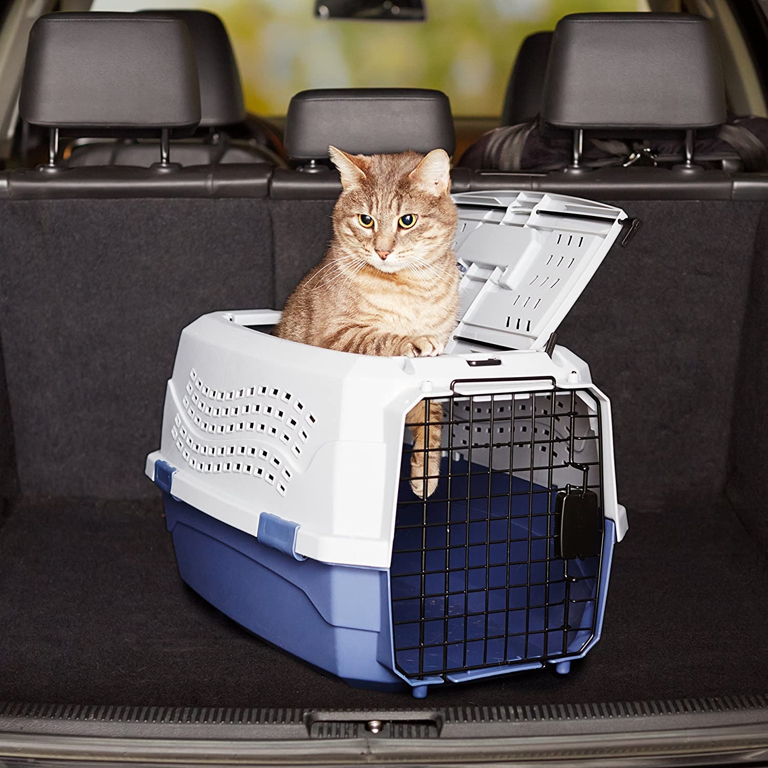 - 2-Door Top-Load Hard-Sided Dogs, Cats Pet Travel Carrier, Gray & Blue, 22.8"L X 15.0"W X 13.0"H